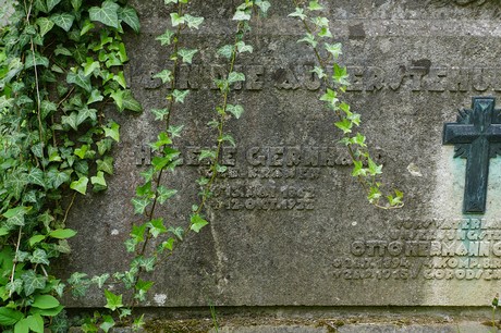 Bad Godesberg
